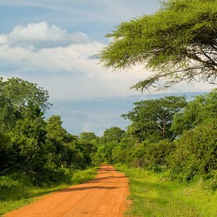 A typcial unpaved road in a rural part of Western Tanzania, close to the border to Burundi and the Democratic Republic of Congo.